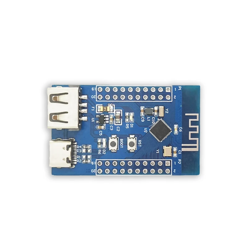CH582M 개발판 블루투스 5.3 RF2.4G 마이크로컨트롤러 저전력 듀얼 USB RISC-V [LCTECH-01]