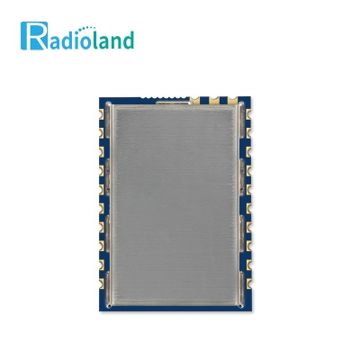 CC1310F128 저전력 스트립 양방향 송수신 주파수 통신모듈 433/868MHz (PCB반구) (커버포함) [RDL-B010]