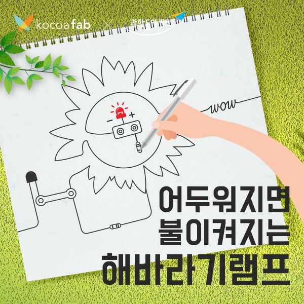 드로잉사이언스 해바라기 키트