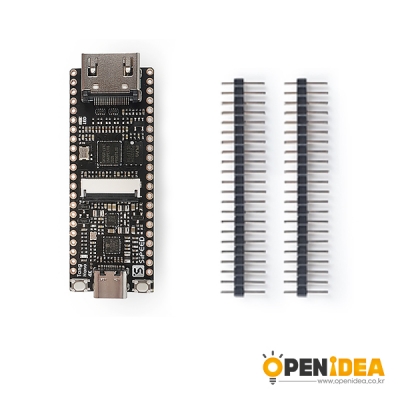 Sipeed Lichee Tang Nano 4K FPGA GoAI 개발보드 [OPEN-TJ60-011]
