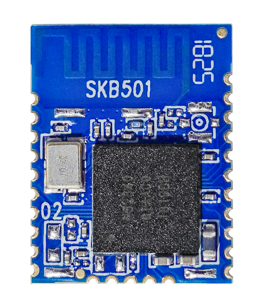 통신 무선 북유럽 nRF52840 ble 5.0 칩 모듈 물 미터 의료 장비 SKB501 [SKYLAB-39]