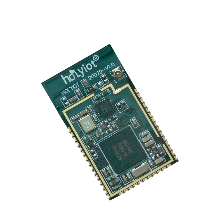 Holyiot-20079-nRF52840 5.3 BLE 메쉬 비콘 북유럽 BLE 무선 BLE 모듈 IOT [HOLYIOT-07]