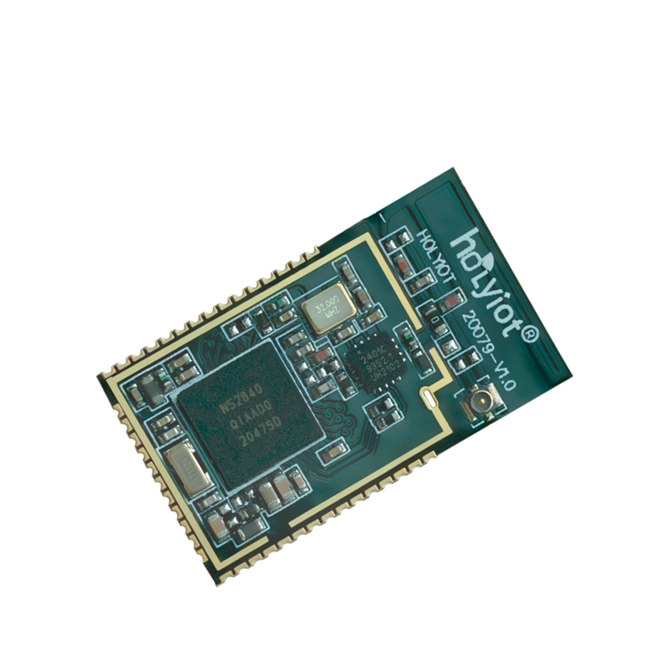 Holyiot-20079-nRF52840 5.3 BLE 메쉬 비콘 북유럽 BLE 무선 BLE 모듈 IOT [HOLYIOT-07]