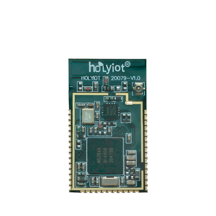 Holyiot-20079-nRF52840 5.3 BLE 메쉬 비콘 북유럽 BLE 무선 BLE 모듈 IOT [HOLYIOT-07]