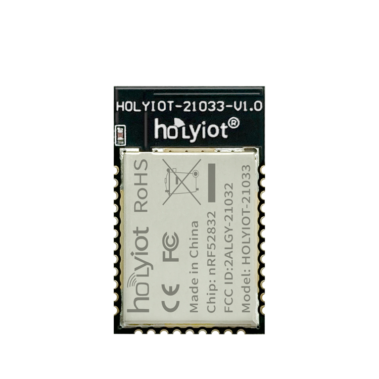 Holyiot-21033-nRF52832 BLE 5.3 저에너지 스마트 게임 의료 웨어러블 피트니스 IOT 모듈 블루 치아 북유럽 모듈 [HOLYIOT-09]