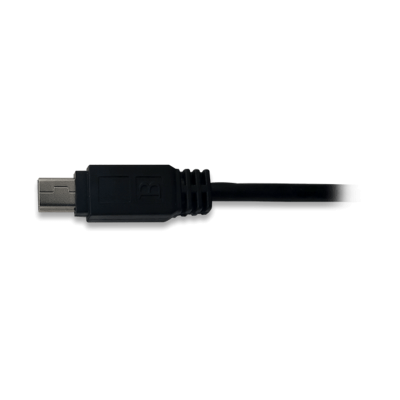 5ft USB A to 미니-B 케이블 [DGLT-310-054]