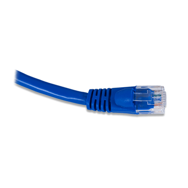 10피트 Cat5e 이더넷 케이블 [DGLT-310-011]