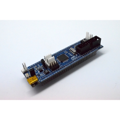 ST Cortex-M3 ARM 학습용 ARM모듈 (ST-CM3 V1.0)