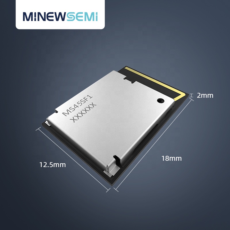 48GPIO 듀얼 코어 nRF5340 북유럽 블루투스 BLE 5.3 모듈 PCB 안테나 지원 LE 오디오 [Minewsemi-71]