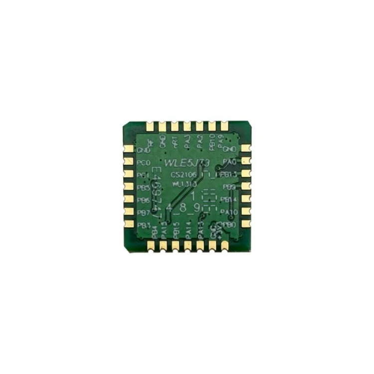 소형 Lora 통신 모듈 웨어러블 Cansec LRW32NA-C ST-STM32WLE Lora 전송 모듈 [CANSEC-43]